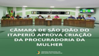 CÂMARA APROVA CRIAÇÃO DA PROCURADORIA DA MULHER CÂMARA APROVA CRIAÇÃO DA PROCURADORIA DA MULHER