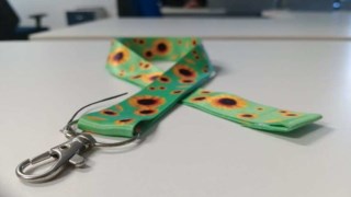 Aprovada Lei Que Reconhece o Cordão do Girassol Para o Município de São João do Itaperiú Aprovada Lei Que Reconhece o Cordão do Girassol Para o Município de São João do Itaperiú