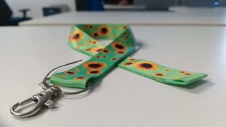 Aprovada Lei Que Reconhece o Cordão do Girassol Para o Município de São João do Itaperiú